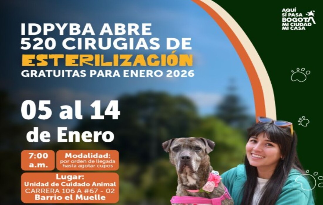 Bogotá habilita las primeras 520 cirugías gratuitas de esterilización para enero 2026. 